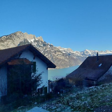 Apartment Panorama Am Walensee In Neubau-Villa Obstalden Extérieur photo